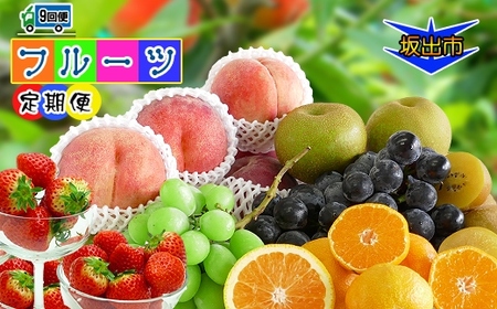 【定期便9回】 創業100年 産直あきんど四季のフルーツの定期便《9ヶ月連続でお届け》