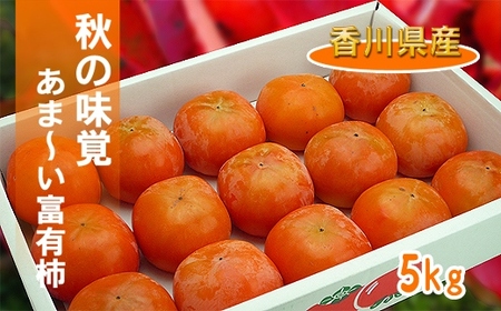 一度は食べたい香川産の完熟富有柿の詰め合わせ約5kg