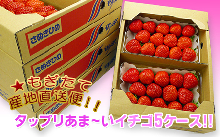 香川県オリジナル品種！さぬき姫いちご10パック