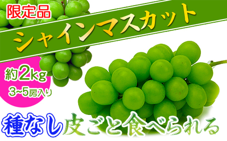 《2026年発送》特秀品シャインマスカット2kgの詰め合わせ