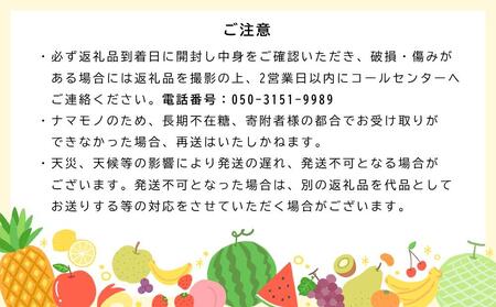 《2025年発送》特秀品シャインマスカット1kgの詰め合わせ【数量限定】