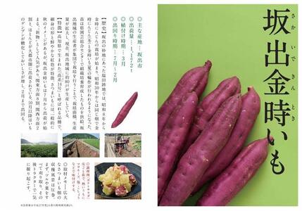 讃岐野金時芋焼酎 「姫尊(ひめみこ)」37度