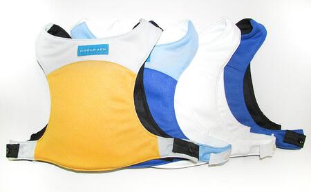 クールリュック　フリーサイズ／ブルー