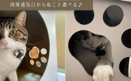 肉球形窓付き ［ねこはこ］2つ（カラー：白）【複層段ボールの下敷きセット】