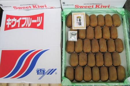 香緑（こうりょく）キウイフルーツ 約3.5kg