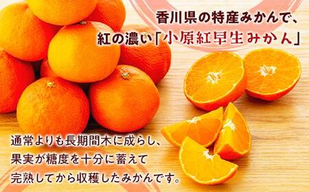 越冬完熟みかん（小原紅早生）約3kg｜フルーツ 果物 くだもの 蜜柑 みかん 早生 食品 さぬき 坂出市 人気 おすすめ 送料無料