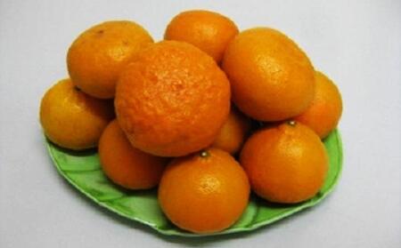 農6号みかん（のうろく）約5kg