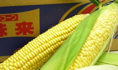 とうもろこし もぎたてトウモロコシ 5kg 坂出市産【先行予約：2026年6月上旬～順次発送】 | トウモロコシ トウモロコシ トウモロコシ トウモロコシ トウモロコシ