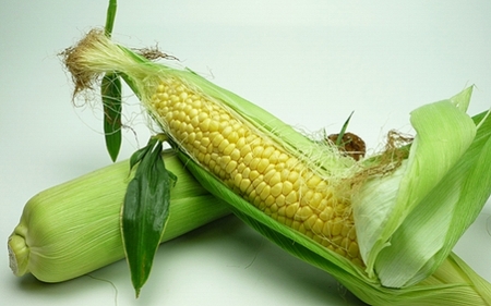 とうもろこし もぎたてトウモロコシ 5kg 坂出市産【先行予約：2026年6月上旬～順次発送】 | トウモロコシ トウモロコシ トウモロコシ トウモロコシ トウモロコシ