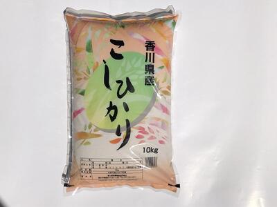 令和7年度　新米　香川県産コシヒカリ10kg