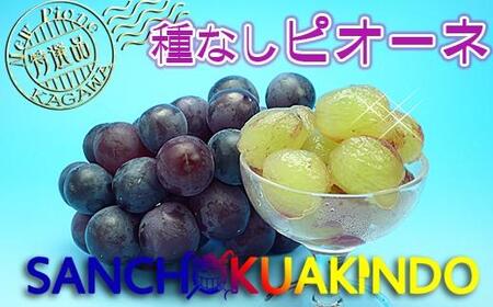 《2026年発送》ニューピオーネ 秀品 2kg ( 約3 ~ 5房 )  ｜ぶどう 香川産 人気品種