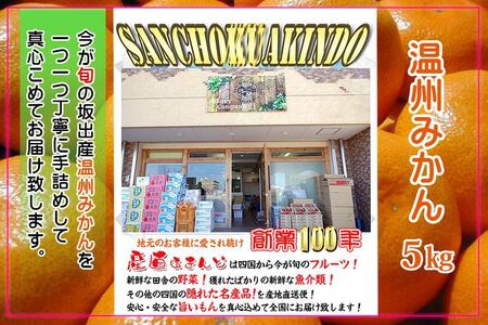 温州みかん 香川産 約5kg ( S ～ Lサイズ ) ｜ みかん 味濃い | 香川県