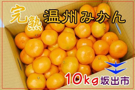 ≪先行受注≫温州みかん 香川産 約10kg ( S ～ Lサイズ ) ｜ みかん 味濃い