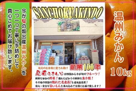 ≪先行受注≫温州みかん 香川産 約10kg ( S ～ Lサイズ ) ｜ みかん 味濃い