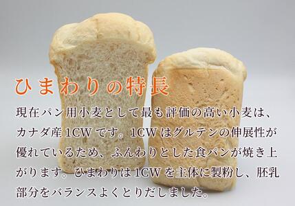 パン用小麦粉「ひまわり」1kg×6袋