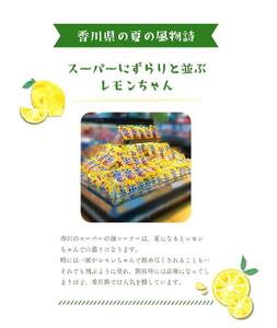 『サタデープラス』で紹介されました!冷やし中華 生シークワーサーちゃん 24食 ( 麺 100g & シークワーサースープ 40ml × 各24袋 )|冷麺 冷やし中華 生シークワーサー 冷やし 中華人気 冷やし中華 生シークワーサー 冷やし 中華人気