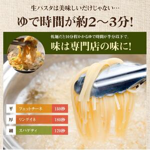 生パスタ フェットチーネ 4.8kg 48食分 ( 400g × 12袋 )｜ 生麺 | 香川