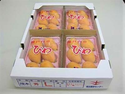 びわ 坂出市産 約1.8kg ( 4パック× 2箱 )|初夏の味覚