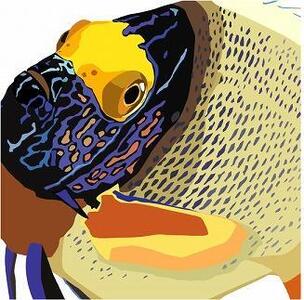 SEALIFE 250L用（人工海水）×2袋