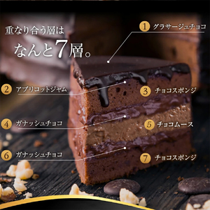 生ザッハトルテ チョコケーキ（4号）