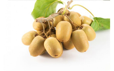 善通寺市産キウイ詰合せ（1）