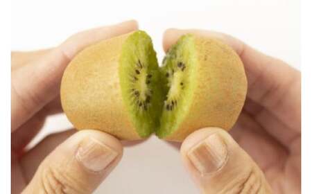 善通寺市産「キウイのたまご」２４玉　約１．１ｋｇ