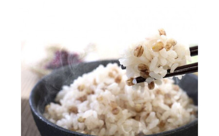 ダイシモチ麦麺セット