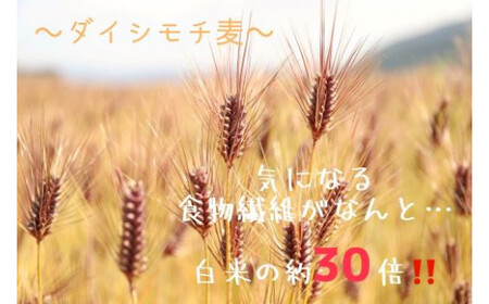 ダイシモチ麦麺セット