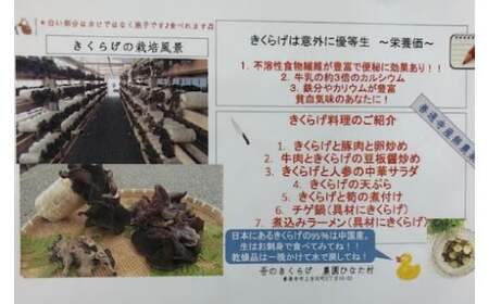 善通寺市産生きくらげ＆乾燥きくらげ