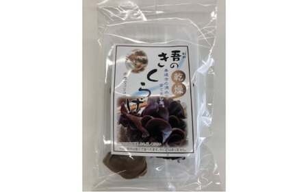 善通寺市産生きくらげ＆乾燥きくらげ