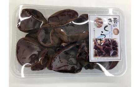 善通寺市産生きくらげ＆乾燥きくらげ