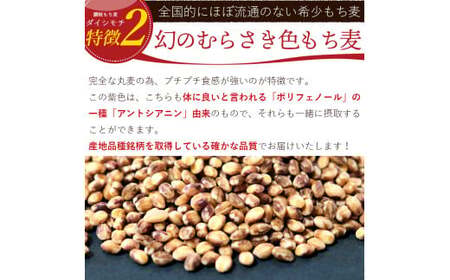 讃岐もち麦「ダイシモチ」5kg（１kg×５袋）　保存に便利なジップ付き