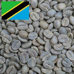 【ミディアムロースト】コーヒー豆　タンザニアAA　トップイエンガ　Qグレード　coffeebeans ＆ sweets Antiqueによるこだわり焙煎豆