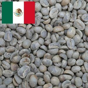 【ミディアムロースト】コーヒー豆　メキシコ SHG クステペック農園　Qグレード　coffeebeans ＆ sweets Antiqueによるこだわり焙煎豆