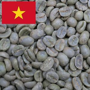 【シナモンロースト】コーヒー豆 ベトナムアラビカG1 ルビーマウンテン coffeebeans & sweets Antiqueによるこだわり焙煎豆