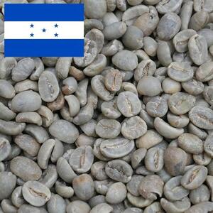 【フルシティロースト】コーヒー豆 ホンジュラスSHG coffeebeans & sweets Antiqueによるこだわり焙煎豆 6632127