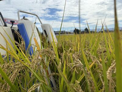 Root Farmの令和7年度 新米ヒノヒカリ玄米5kg×2袋 有機JAS認証