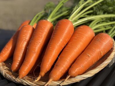 Root  Farmの冬季限定　有機JAS認証の人参約5kg（12月～2月頃まで）