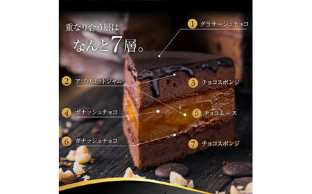 もりんのクリスマスケーキ　ザッハトルテ・くまちゃん 4号サイズ