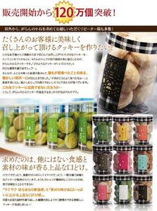 もりん がらんの小石 30粒 アラカルト