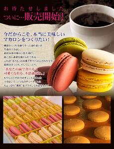 もりん　至高のマカロン　10個詰め合わせ