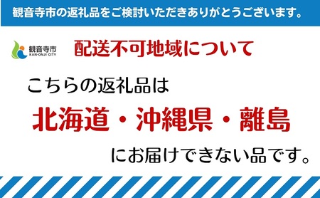 【2026年3月中旬より順次発送】深紅の柑橘「ブラッドオレンジ」　約3kg 