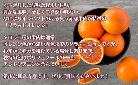 【2026年3月中旬より順次発送】深紅の柑橘「ブラッドオレンジ」　約3kg 