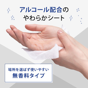 【99.9% 除菌】大判ウエットティッシュ(アルコールタイプ)20枚入り×25個セット(500枚)