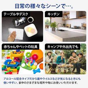 【99.9% 除菌】大判ウエットティッシュ(アルコールタイプ)20枚入り×25個セット(500枚)