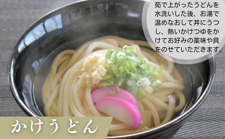 さぬきうどん半生（つゆパック付）（30人前） 讃岐うどん 半生 つゆ だし 麺 のどごし 製麺所 紀州屋 香川 観音寺