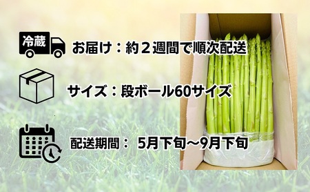 朝採れ アスパラ【さぬきのめざめ】夏芽 2Lサイズ　約1kg （25～30本） 