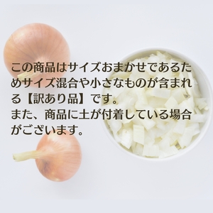 訳あり（サイズ混合おまかせ）そのまんま 玉ねぎ（約3kg×2箱）計約6kg たまねぎ 野菜 
