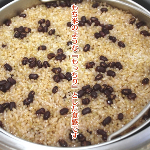 長岡式・冷凍・酵素玄米ごはん 125g×8個セット 玄米 ごはん ご飯 セット 冷凍