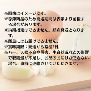 極早生玉ねぎ 約10kg